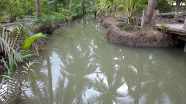 Hindistan cevizi tarlasında sulama sistemi, su kaynağı ve sıcak mevsimde tarım için ayrılmış, Mekong Delta 'da hendek örtüsü bahçesi, Vietnam