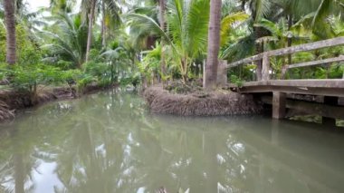 Hindistan cevizi tarlasında sulama sistemi, su kaynağı ve sıcak mevsimde tarım için ayrılmış, Mekong Delta 'da hendek örtüsü bahçesi, Vietnam