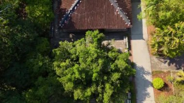 Mekong Deltası 'nın havadan görünüşü, Ben Tre turisti kayısı ya da Bach Mai çiçeği, bir miras ağacı ve Phu Tu Tapınağı' ndaki eski bir ev, Vietnam için bir seyahat yeri.