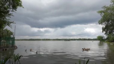 Bulutlu bir günde Mekong Deltası manzarası, yağmura hazır, suda balıkçı teknesi, Ben Tre, Vietnam 'da nehirde ördek sürüsü
