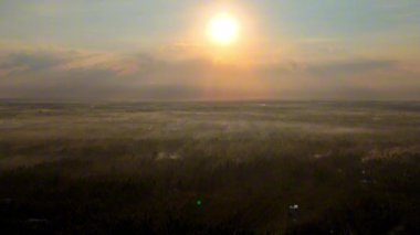 Mekong Deltası 'ndaki gizemli hareketler, palmiye ormanlı hindistan cevizi arazisi, gündoğumu ağaçların tepesindeki sislerin arasından güneş ışığı gökyüzü manzarası, Ben Tre köyü, Vietnam