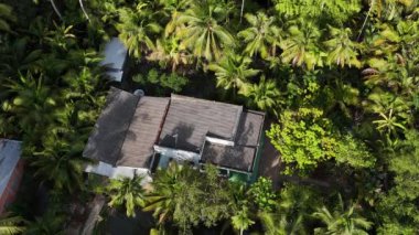 Mekong Deltası 'nın muhteşem hava manzarası, muazzam hindistan cevizi, nipa ağacı tarlası, palmiye ağacının yeşili içinde yapayalnız bir evin çatısı, eko kırsalının ıssız manzarası, Ben Tre, Vietnam