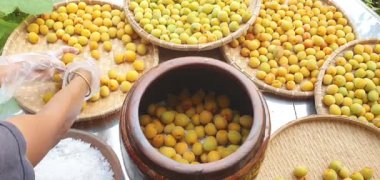 Kayısı veya Japon eriğinden lezzetli içecek yapmak için ham madde. Tuzlu, mevsimlik meyve. Sağlığa, beslenmeye, zengin vitamine iyi gelir.