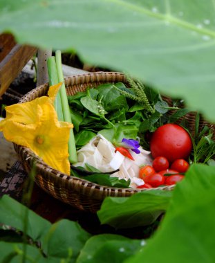  Ispanak, fesleğen, olgun domates, kiraz domatesleri, sarı kabak çiçeği, tazelik, sağlıklı besinlerin bol olduğu taze sebze ve otlarla dolu bir hasır sepet.