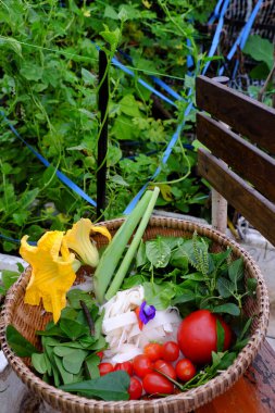  Ispanak, fesleğen, olgun domates, kiraz domatesleri, sarı kabak çiçeği, tazelik, sağlıklı besinlerin bol olduğu taze sebze ve otlarla dolu bir hasır sepet.