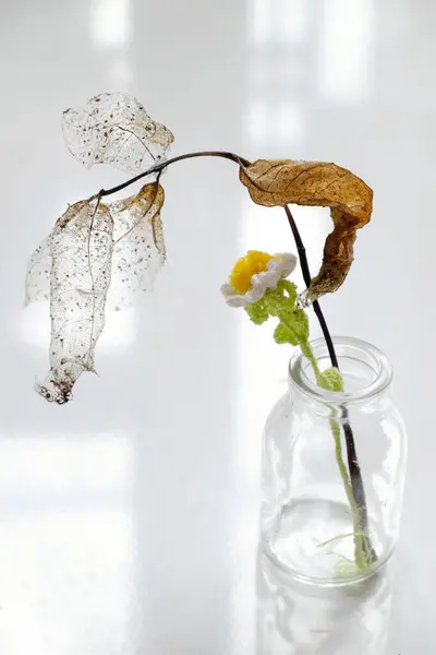 stock image  A single crocheted daisy in white, yellow petals and dried leaf  in a clear glass jar for simple home decor on white background.