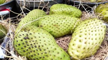 Soursop ya da man cau xiem, Vietnam tropikal tarım ürünü açık hava meyve pazarında satışta, Cho Lon, Ho chi Minh şehri, Vietnam