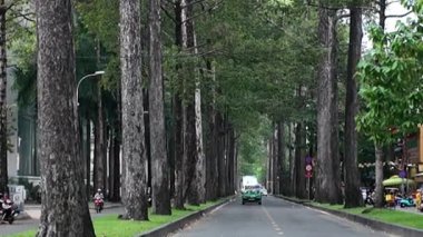 Sai Gon caddesinde sıralanmış muhteşem ağaç, sıcak mevsimde gölgeli antik ağaçlar, şehir yeşili modern hayattan karbon emisyonunu azaltıyor, Vietnam