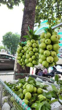 HO CHI MINH CITY, VIETNAM - AUG 20, 2024: Vietnamlı satıcı caddesi; motosiklette göz alıcı bir grup taze guava meyvesi; müşteriler için seyyar satıcı temiz yiyecek; küçük işletme kazancı