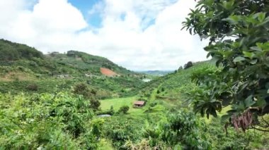 Dağlık arazide kahve ağaçlarının ekilmesi yağmurlu ve fırtınalı mevsimde toprak kayması, Vietnam dağlarında çorak bir tepe, bulutlu gökyüzünün altında tarım çiftliği riskine neden olur.