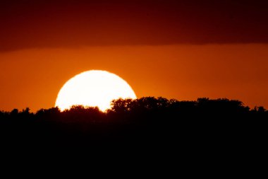 Ağaçların arkasında güneşli altın gün batımı
