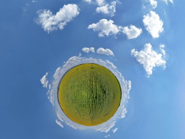 Gezegen fotoğrafı olarak ayçiçeği tarlası