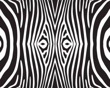 Beyaz arka planda kusursuz zebra derisi deseni