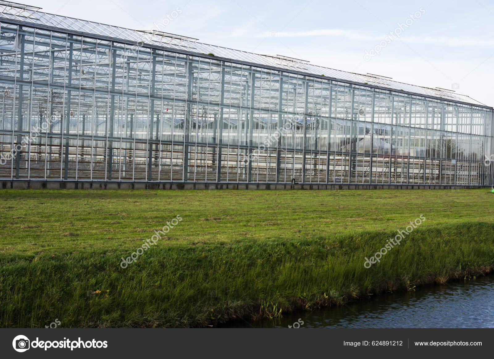 Invernadero Industrial Exterior De Los Países Bajos Imagen de archivo -  Imagen de crecimiento, europa: 265743045