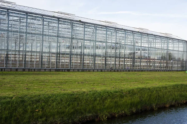 Стеклянная Теплица Выращивания Цветов Нидерландах — стоковое фото