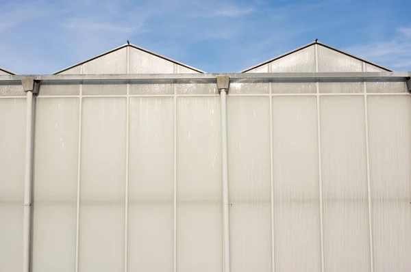 澄んだ青空とガラスの外観の温室 — ストック写真