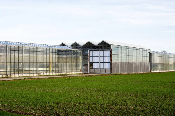 オランダのアーネムの前景に芝生畑がある温室のガラスの外観 — ストック写真