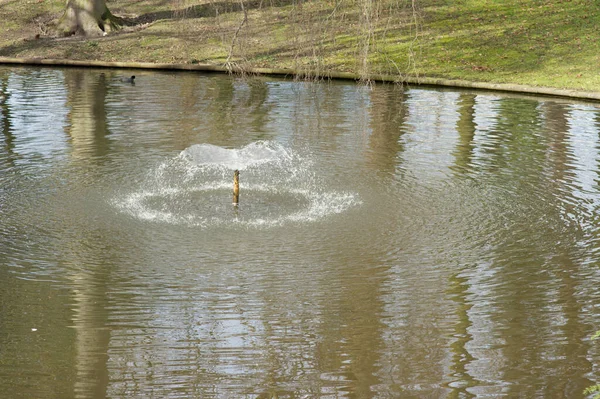 Small fountain in a pond with flowing water