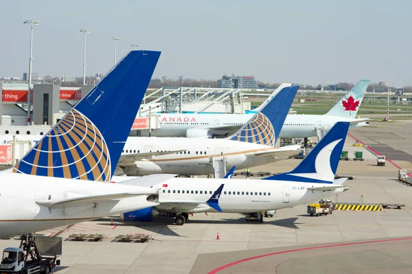 stock image Schiphol, Netherlands - April 5, 2023: Tail wings of airplanes of different airlines at Schiphol airport