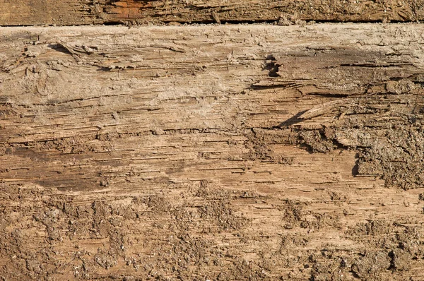 Kahverengi Ahşap Kabartma Arka Planı — Stok fotoğraf