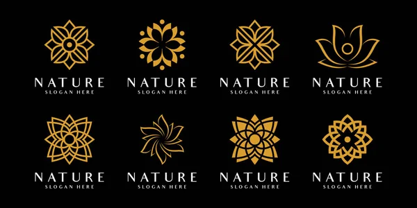 Satz Von Blume Natur Logo Design Vektor — Stockvektor