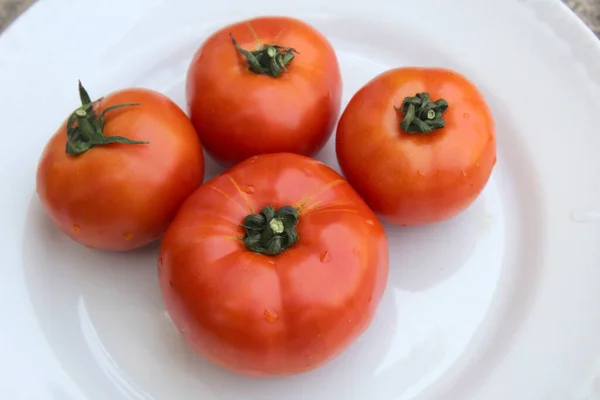 Tomat Merah Segar Diisolasi Pada Latar Belakang Putih — Stok Foto