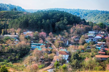 Phitsanulok Thailand January 25 2023 Wat Pa Phuhin Rong kla, Ban Rong Kla, Phu Hin Rong Kla National Park.