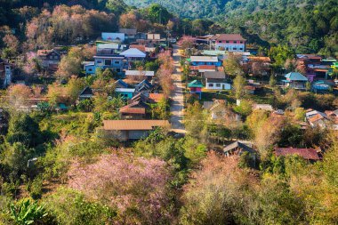 Phitsanulok Thailand January 25 2023 Wat Pa Phuhin Rong kla, Ban Rong Kla, Phu Hin Rong Kla National Park.