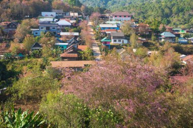 Phitsanulok Thailand January 25 2023 Wat Pa Phuhin Rong kla, Ban Rong Kla, Phu Hin Rong Kla National Park.