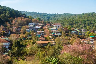 Phitsanulok Thailand January 25 2023 Wat Pa Phuhin Rong kla, Ban Rong Kla, Phu Hin Rong Kla National Park.