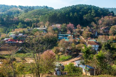 Phitsanulok Thailand January 25 2023 Wat Pa Phuhin Rong kla, Ban Rong Kla, Phu Hin Rong Kla National Park.