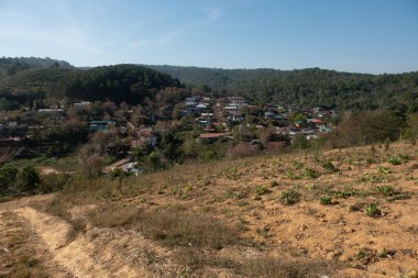 Phitsanulok Thailand January 25 2023 Wat Pa Phuhin Rong kla, Ban Rong Kla, Phu Hin Rong Kla National Park.