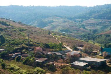 Phitsanulok Thailand January 25 2023 Wat Pa Phuhin Rong kla, Ban Rong Kla, Phu Hin Rong Kla National Park.