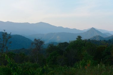 Nan Thailand December 26 2022 camping tents on campground Travel Concept at Doi Phu Kha National Park.