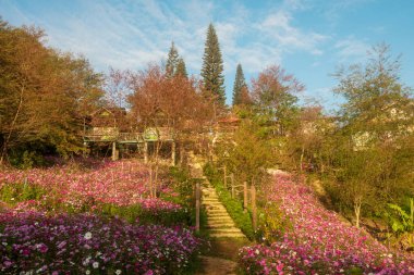 Phitsanulok Thailand January 25 2023 Rongkra village is located at Phitsanulok Province as the south of northern . Ban Rong Kla, Phu Hin Rong Kla National Park.