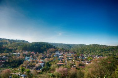 Phitsanulok Thailand January 25 2023 Wat Pa Phuhin Rong kla, Ban Rong Kla, Phu Hin Rong Kla National Park.