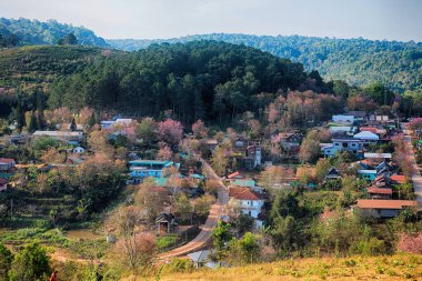 Phitsanulok Thailand January 25 2023 Wat Pa Phuhin Rong kla, Ban Rong Kla, Phu Hin Rong Kla National Park.