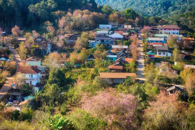 Phitsanulok Thailand January 25 2023 Wat Pa Phuhin Rong kla, Ban Rong Kla, Phu Hin Rong Kla National Park.