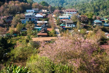 Phitsanulok Tayland 25 Ocak 2023 Wat Pa Phuhin Rong kla, Ban Rong Kla, Phu Hin Rong Kla Milli Park.