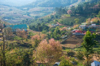 Phitsanulok Thailand January 25 2023 Wat Pa Phuhin Rong kla, Ban Rong Kla, Phu Hin Rong Kla National Park.