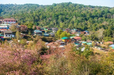 Phitsanulok Thailand January 25 2023 Wat Pa Phuhin Rong kla, Ban Rong Kla, Phu Hin Rong Kla National Park.
