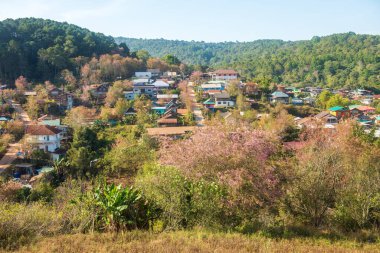 Phitsanulok Thailand January 25 2023 Wat Pa Phuhin Rong kla, Ban Rong Kla, Phu Hin Rong Kla National Park.