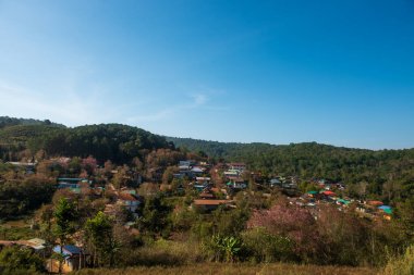 Phitsanulok Thailand January 25 2023 Wat Pa Phuhin Rong kla, Ban Rong Kla, Phu Hin Rong Kla National Park.