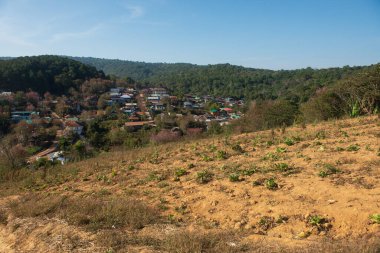 Phitsanulok Thailand January 25 2023 Wat Pa Phuhin Rong kla, Ban Rong Kla, Phu Hin Rong Kla National Park.