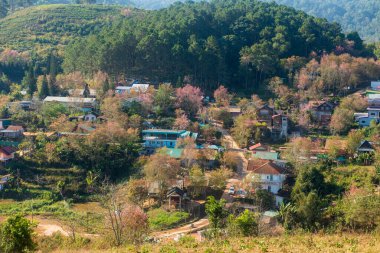 Phitsanulok Tayland 25 Ocak 2023 Wat Pa Phuhin Rong kla, Ban Rong Kla, Phu Hin Rong Kla Milli Park.