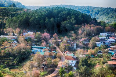 Phitsanulok Thailand January 25 2023 Wat Pa Phuhin Rong kla, Ban Rong Kla, Phu Hin Rong Kla National Park.