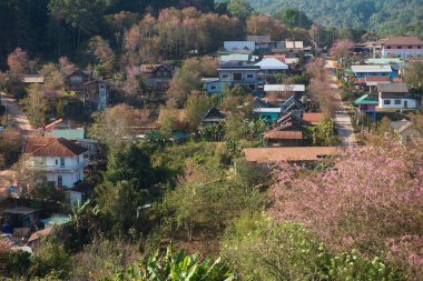 Phitsanulok Thailand January 25 2023 Wat Pa Phuhin Rong kla, Ban Rong Kla, Phu Hin Rong Kla National Park.
