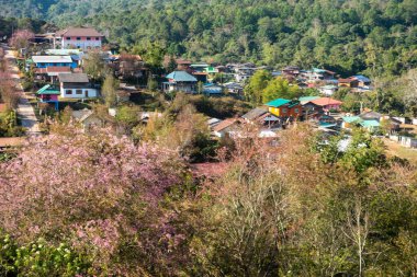 Phitsanulok Thailand January 25 2023 Wat Pa Phuhin Rong kla, Ban Rong Kla, Phu Hin Rong Kla National Park.