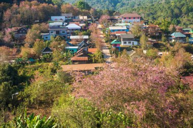 Phitsanulok Tayland 25 Ocak 2023 Wat Pa Phuhin Rong kla, Ban Rong Kla, Phu Hin Rong Kla Milli Park.