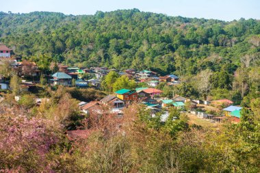 Phitsanulok Thailand January 25 2023 Wat Pa Phuhin Rong kla, Ban Rong Kla, Phu Hin Rong Kla National Park.